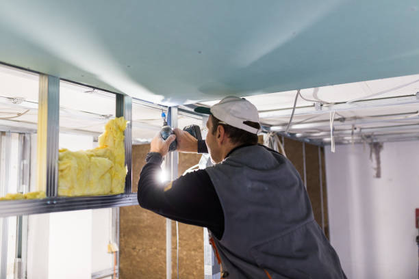 Best Residential Insulation Services  in Rialto, CA